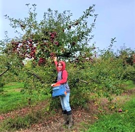 Cole Terway at Gilchrist Orchard in Buffalo